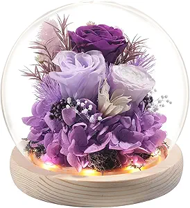 Roses Gifts for Her, Flowers Delivery Prime Rose in Glass Dome with LED Light - Gifts for Mothers Women Mom Grandma Girlfriend Wife