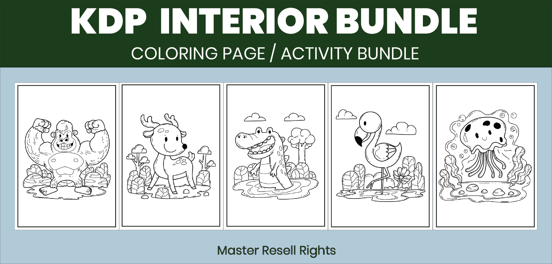 KDP interior Bundle