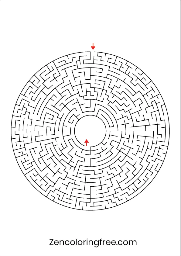 The second page of the circular maze book, featuring a unique round maze pattern where you navigate toward the center, with elegant floral borders.