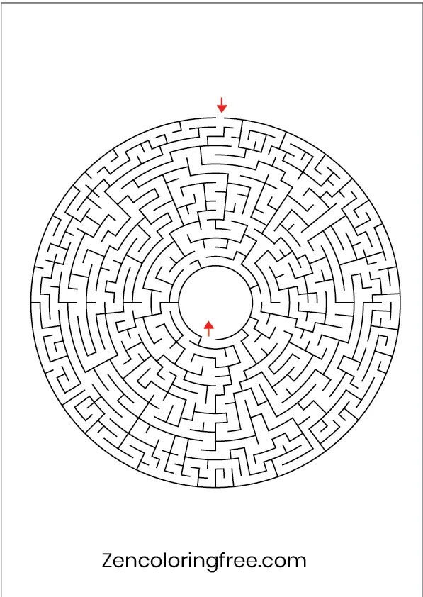 Page 9 of the circular maze book, showcasing a unique and beautiful geometric round labyrinth puzzle with minimalist artistic flair.
