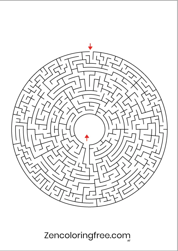 Circular Maze Challenge - Page 8 (Deep Focus Exercise)