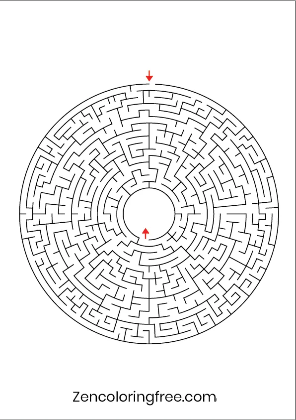 Circular Maze Challenge - Page 7 (Advanced Logic)